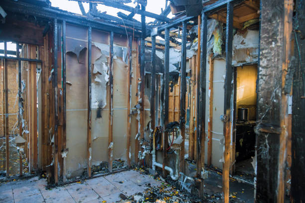 Professional Fire Damage Removal technician working in Boulder Creek, CA